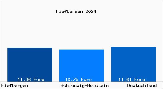 Aktueller Mietspiegel in Fiefbergen